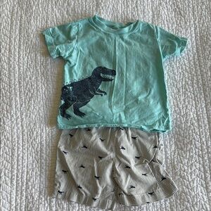 Dinosaur Graphic Tee and Striped Shorts Set